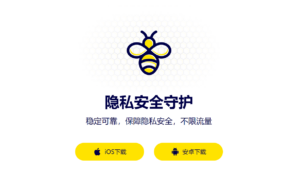 蜜蜂加速器永久免费破解版下载使用评测：VIP安卓iOS官网免费下载安装